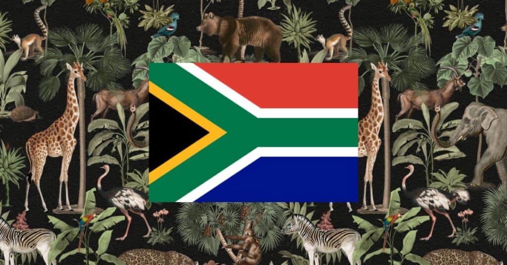 South Africa flag in the center of a vibrant jungle animal-themed background.