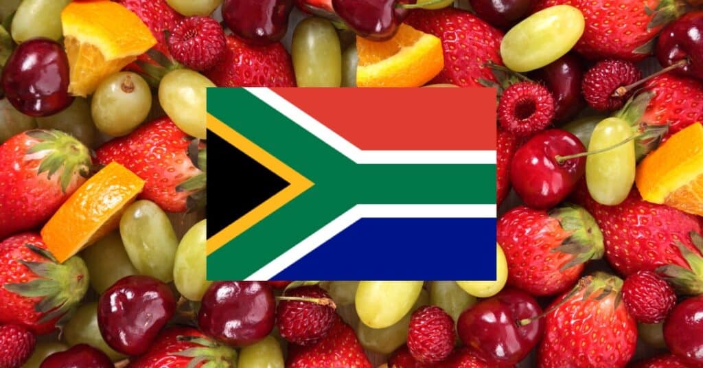 Assorted fruits background with South Africa flag.