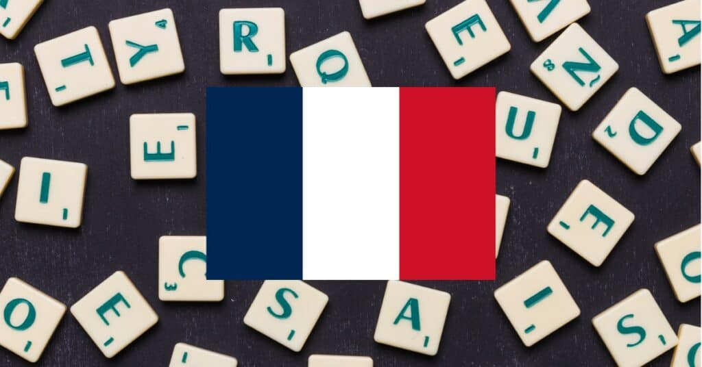 learning vocabulary games for basic words in French