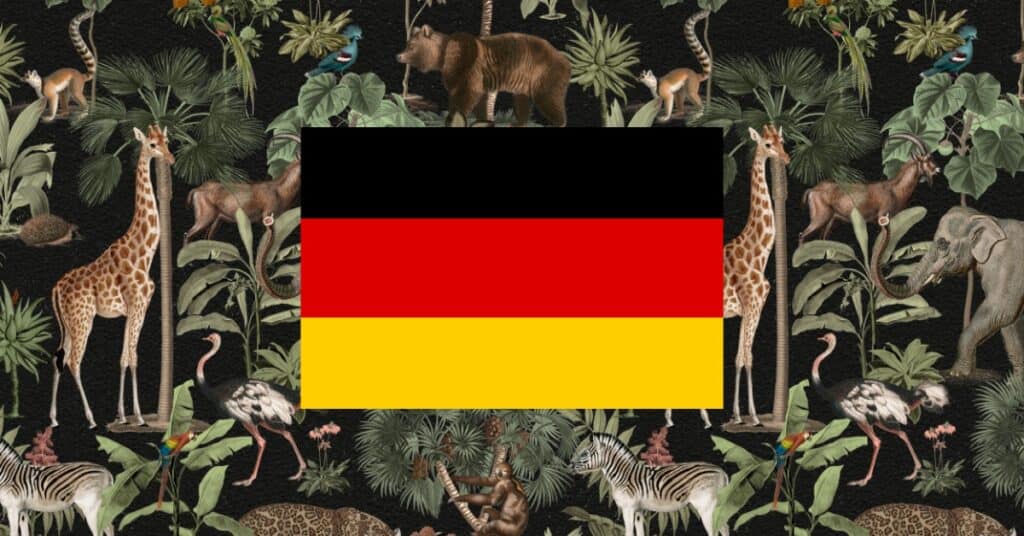 learning vocabulary games for animals in German