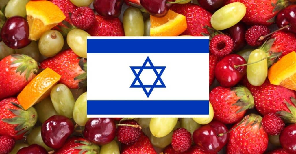 learning vocabulary games for fruits in Hebrew