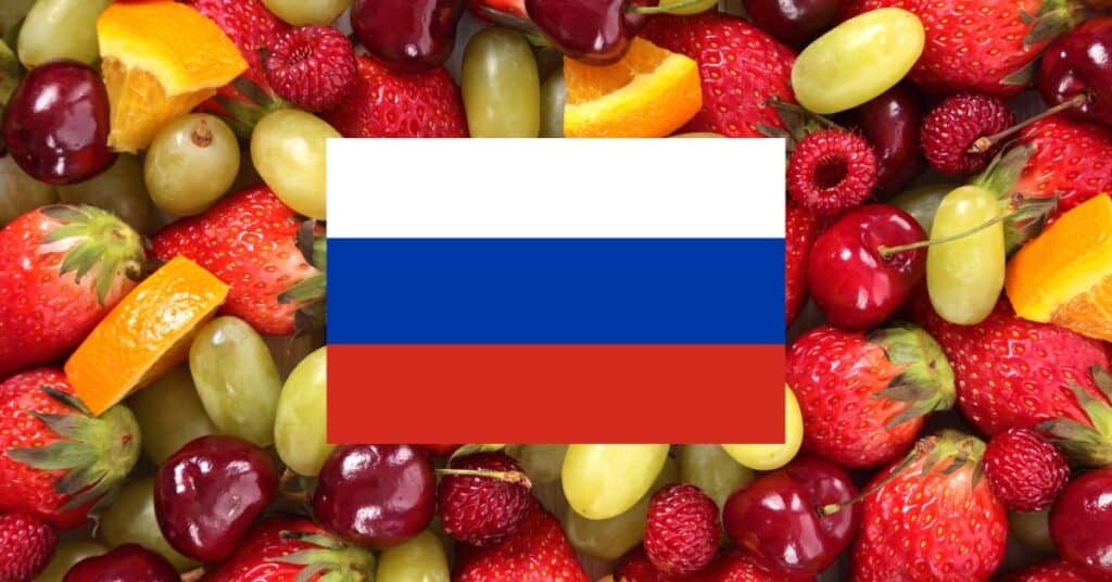 learning vocabulary games for fruits in Russian