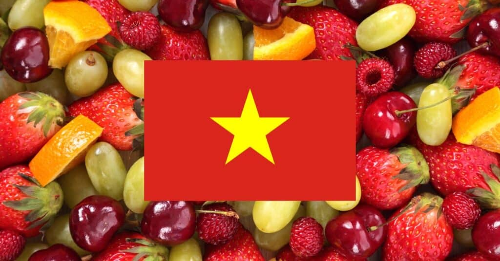 learning vocabulary games for fruits in Vietnamese