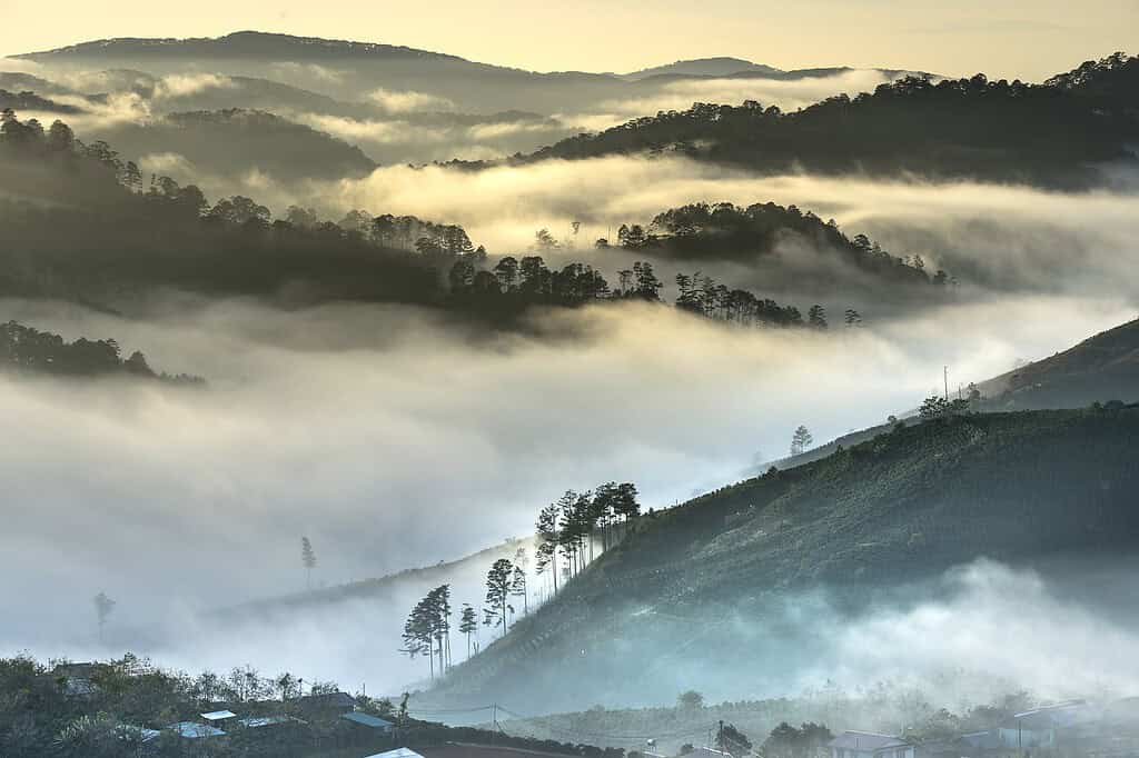 Asia mountains in mist