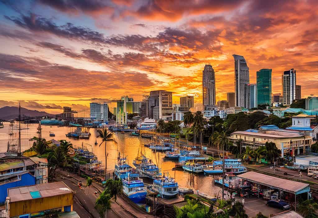 Sunset over Port of Spain skyline with palm trees and boats in the harbor