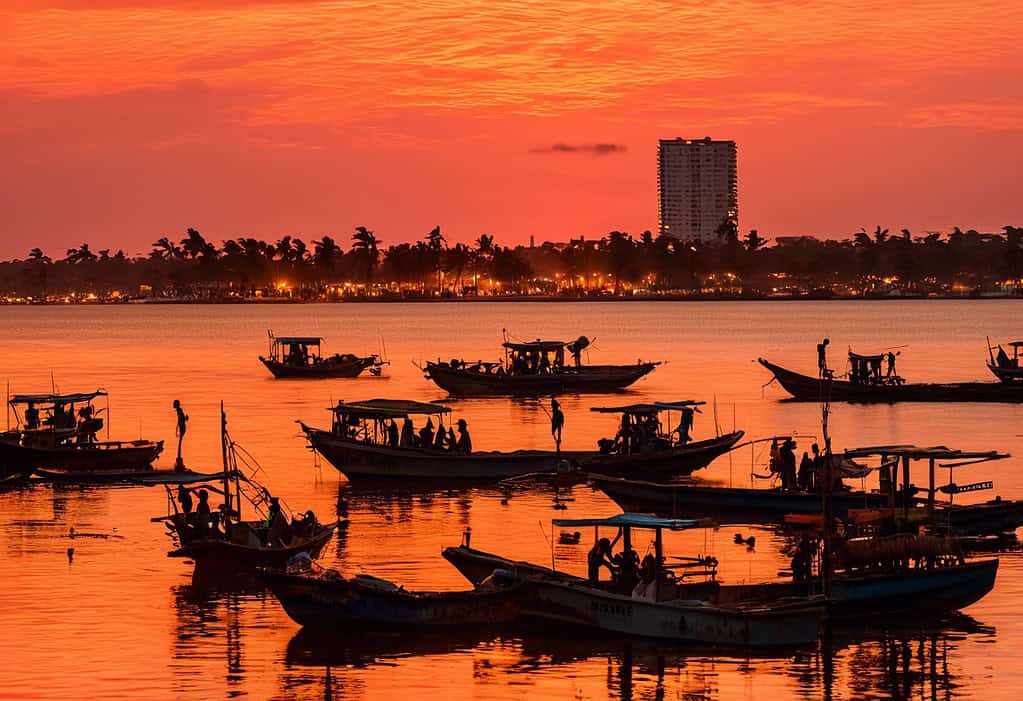 Silhouette of city skyline against orange and pink sky with palm trees and fishing boats in Atlantic Ocean